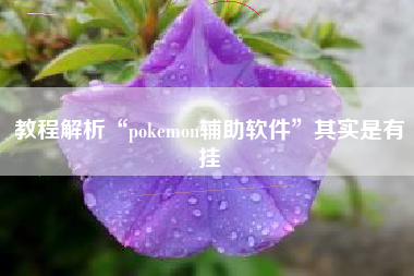 教程解析“pokemon辅助软件	”其实是有挂