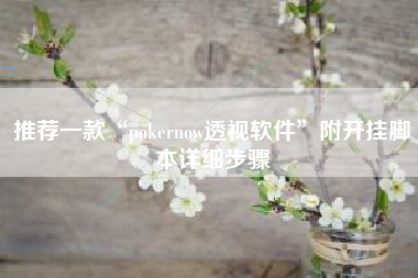 推荐一款“pokernow透视软件	”附开挂脚本详细步骤