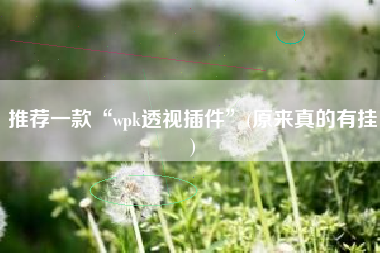 推荐一款“wpk透视插件”(原来真的有挂)