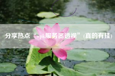 分享热点“wpk服务器透视”(真的有挂)