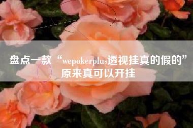 盘点一款“wepokerplus透视挂真的假的	”原来真可以开挂
