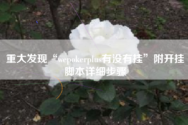 重大发现“wepokerplus有没有挂”附开挂脚本详细步骤