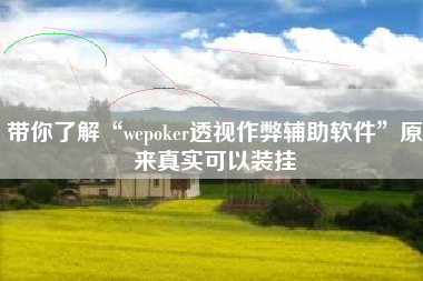 带你了解“wepoker透视作弊辅助软件”原来真实可以装挂