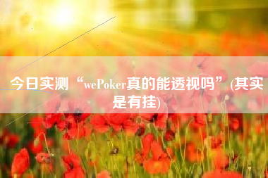 今日实测“wePoker真的能透视吗”(其实是有挂)