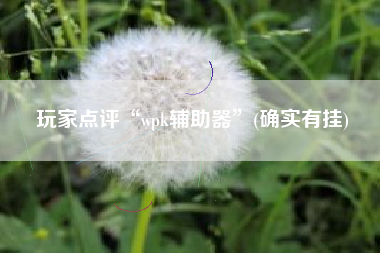 玩家点评“wpk辅助器”(确实有挂)