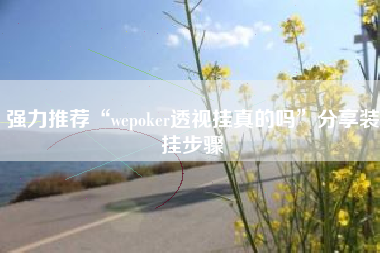 强力推荐“wepoker透视挂真的吗”分享装挂步骤