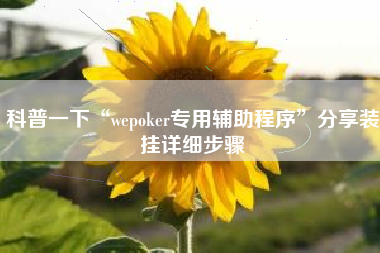 科普一下“wepoker专用辅助程序”分享装挂详细步骤