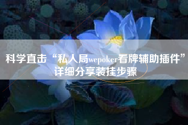 科学直击“私人局wepoker看牌辅助插件”详细分享装挂步骤