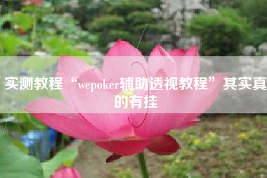 实测教程“wepoker辅助透视教程”其实真的有挂