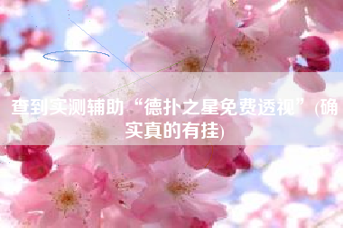 查到实测辅助“德扑之星免费透视”(确实真的有挂)