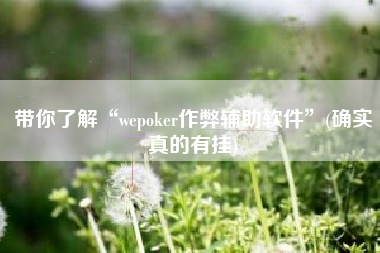 带你了解“wepoker作弊辅助软件”(确实真的有挂)