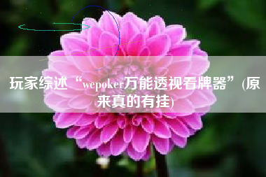 玩家综述“wepoker万能透视看牌器”(原来真的有挂)