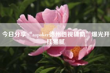 今日分享“aapoker德州透视辅助”爆光开挂猫腻