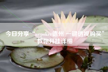 今日分享“wepoker德州 一键透视购买”教你开挂详细