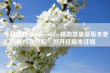 今日教程“pokermaster辅助器最新版本更新内容介绍”附开挂脚本详细