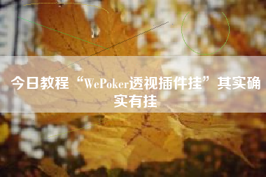 今日教程“WePoker透视插件挂”其实确实有挂