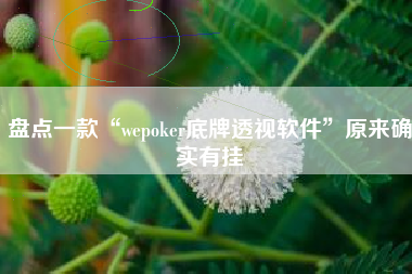 盘点一款“wepoker底牌透视软件”原来确实有挂