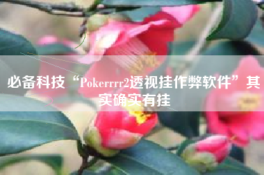 必备科技“Pokerrrr2透视挂作弊软件	”其实确实有挂