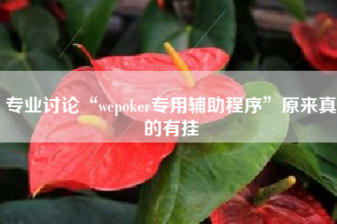 专业讨论“wepoker专用辅助程序”原来真的有挂