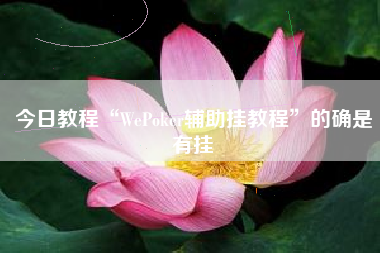 今日教程“WePoker辅助挂教程	”的确是有挂