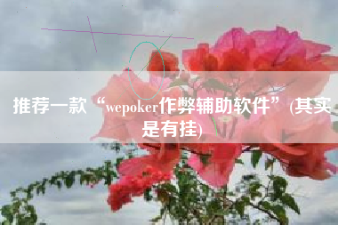 推荐一款“wepoker作弊辅助软件	”(其实是有挂)
