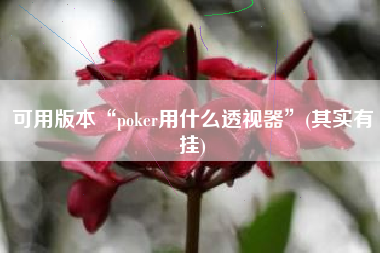 可用版本“poker用什么透视器”(其实有挂)