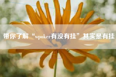 带你了解“wpoker有没有挂”其实是有挂 带你了解“wpoker有没有挂”其实是有挂