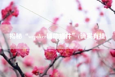 揭秘“wepoker辅助插件”(确实有挂)