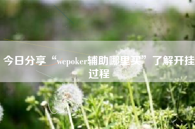 今日分享“wepoker辅助哪里买”了解开挂过程