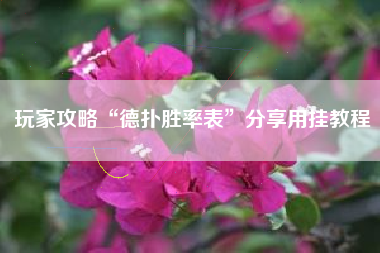 玩家攻略“德扑胜率表”分享用挂教程