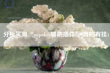 分析实测“wepoker辅助插件	”(真的有挂)