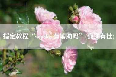 指定教程“wepoker有辅助吗	”(确实有挂)