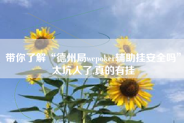 带你了解“德州局wepoker辅助挂安全吗	”太坑人了,真的有挂