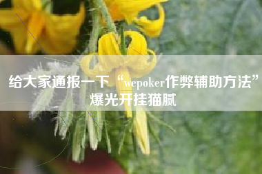 给大家通报一下“wepoker作弊辅助方法”爆光开挂猫腻