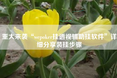重大来袭“wepoker挂透视辅助挂软件”详细分享装挂步骤