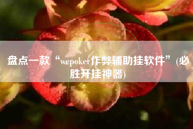 盘点一款“wepoker作弊辅助挂软件	”(必胜开挂神器)