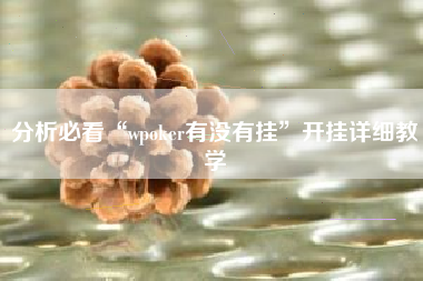 分析必看“wpoker有没有挂	”开挂详细教学