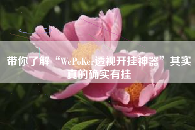 带你了解“WePoKer透视开挂神器	”其实真的确实有挂
