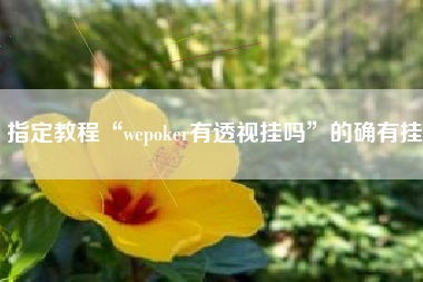 指定教程“wepoker有透视挂吗	”的确有挂