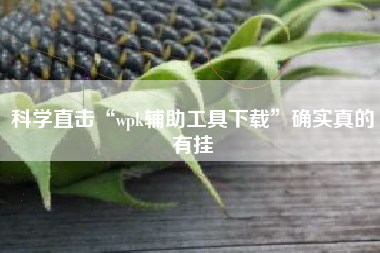 科学直击“wpk辅助工具下载	”确实真的有挂