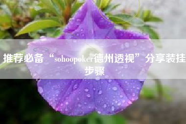 推荐必备“sohoopoker德州透视”分享装挂步骤