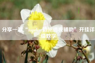 分享一款“aapoker德州透视辅助”开挂详细教学