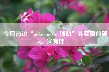 今日热议“pokermaster辅助	”其实真的确实有挂
