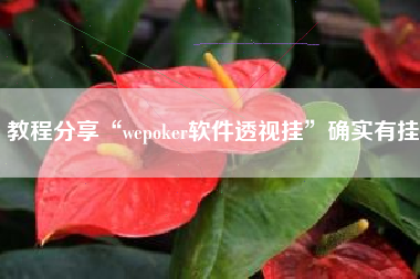 教程分享“wepoker软件透视挂”确实有挂