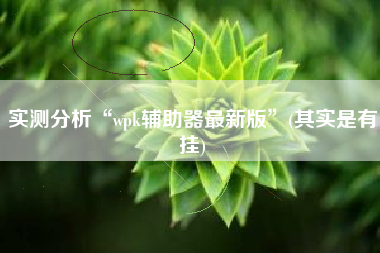 实测分析“wpk辅助器最新版	”(其实是有挂)