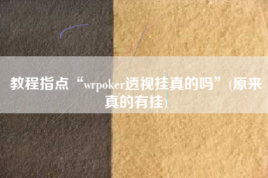 教程指点“wrpoker透视挂真的吗”(原来真的有挂)