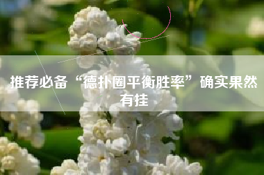 推荐必备“德扑圈平衡胜率”确实果然有挂