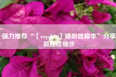 强力推荐“【wepoker】辅助器脚本”分享装挂详细步
