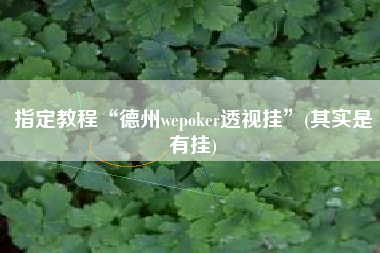 指定教程“德州wepoker透视挂”(其实是有挂)