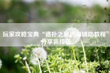 玩家攻略宝典“德扑之星透视辅助教程	”分享装挂详